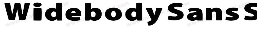 Widebody Sans Super字体转换